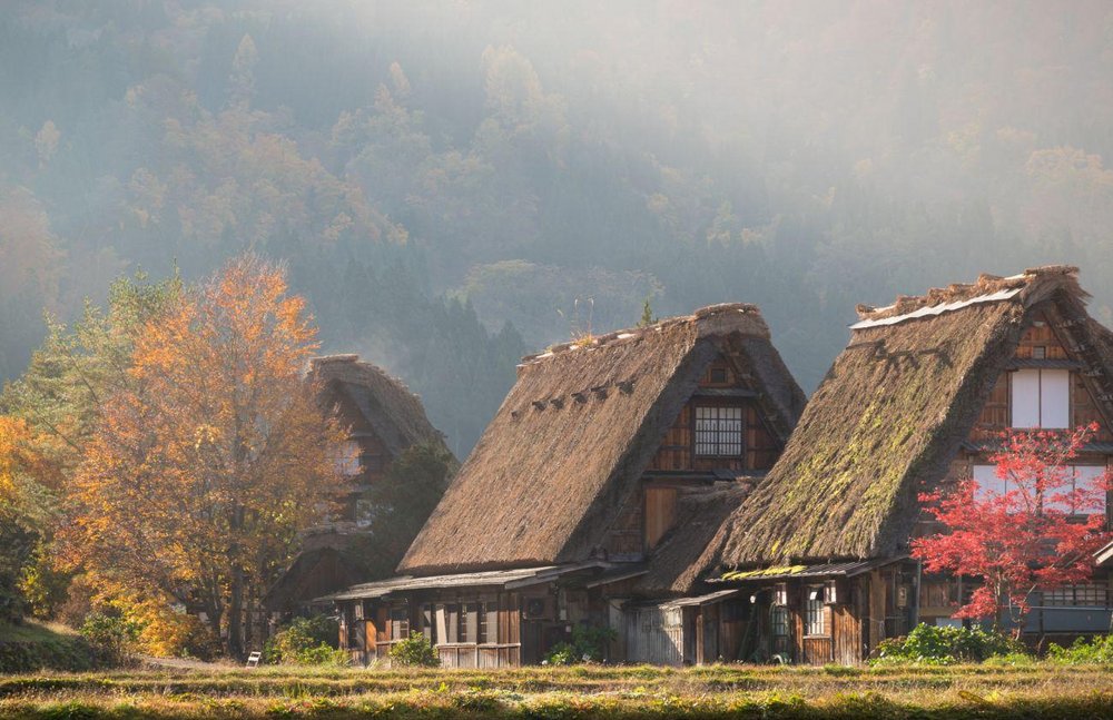 Traditionelle Häuser in Shirakawago, Herbst, Japan Reise