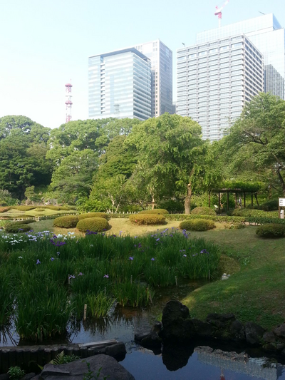 Park in Tokyo, Japan Reisebericht