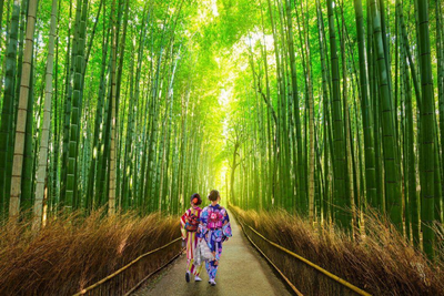 Bambuswald in Kyoto, Japan Familienreise