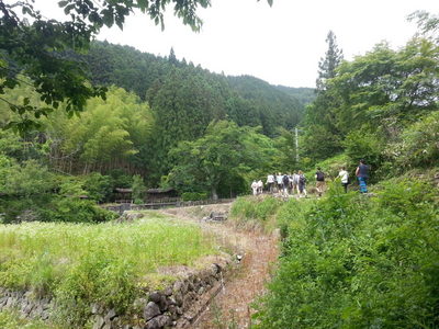 Wanderung auf dem Nakasendo Pfad, Kiso Tal, Japan Reisebericht