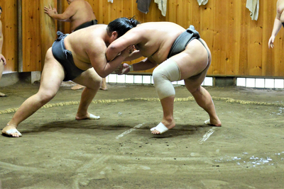 Sumo, Training, Japan, Tokyo