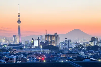 Blick auf Tokio mit Mount Fuji, Japan Südkorea Rundreise