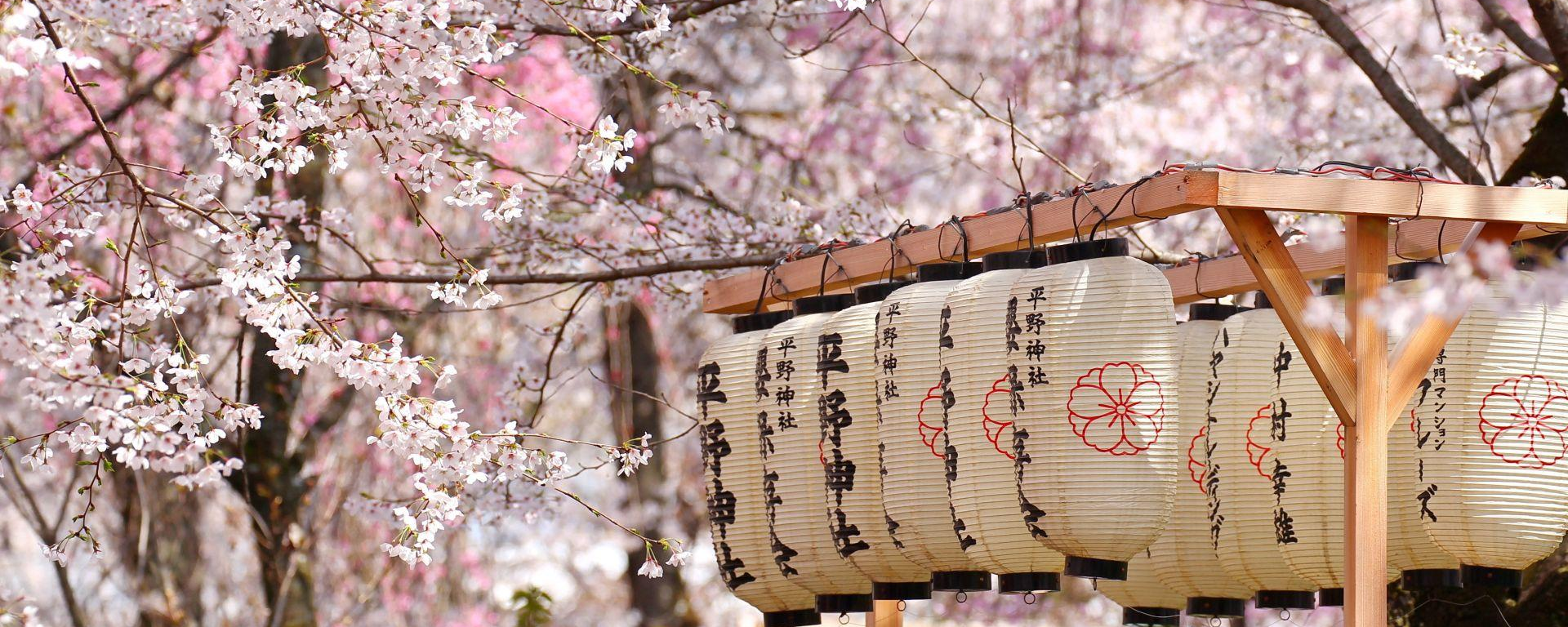 Kirschblüten und Laternen, Japan Rundreise