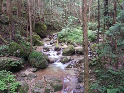 Wanderung auf dem Nakasendo Pfad, Kiso Tal, Japan Reisebericht
