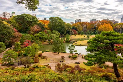 Rikugi-en, okyo, Japan Gartenreise